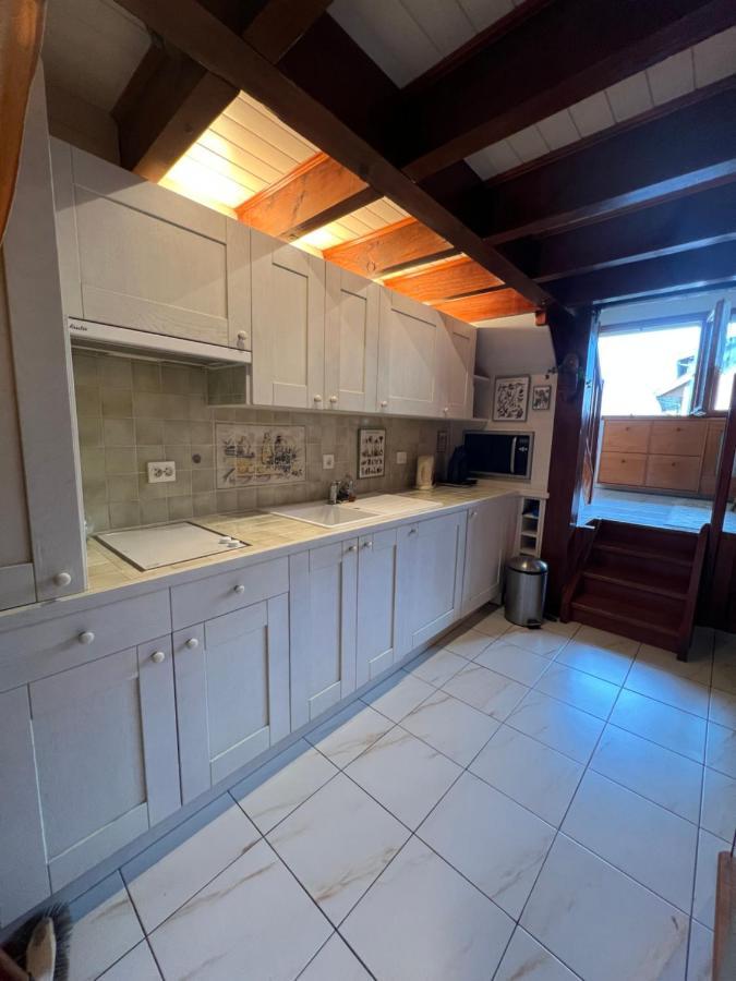 Rare 2 Bedroom With Private Beach On Lake Annecy 杜萨尔 外观 照片